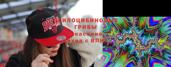 гашик Алзамай