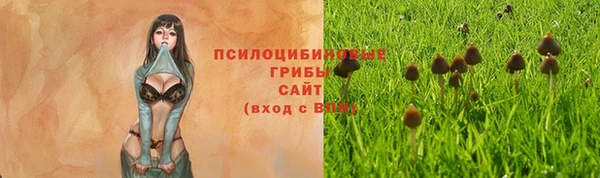 apvp Алексин